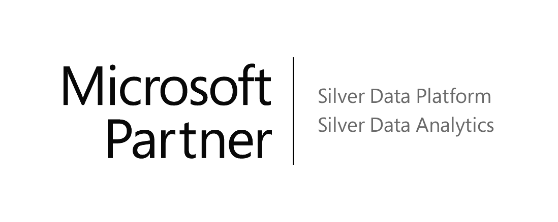 Microsoft Partner Silver data