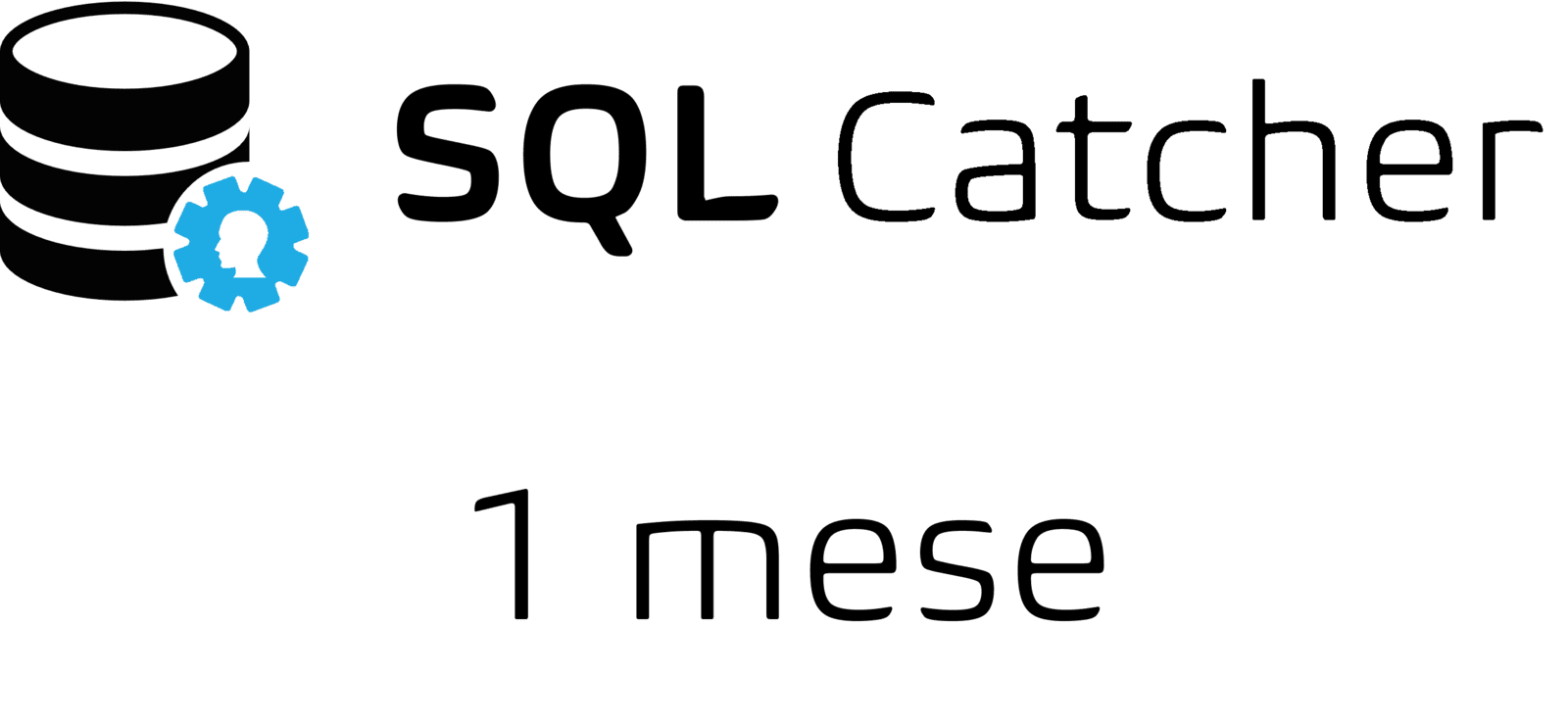 SQL Catcher 1 mese
