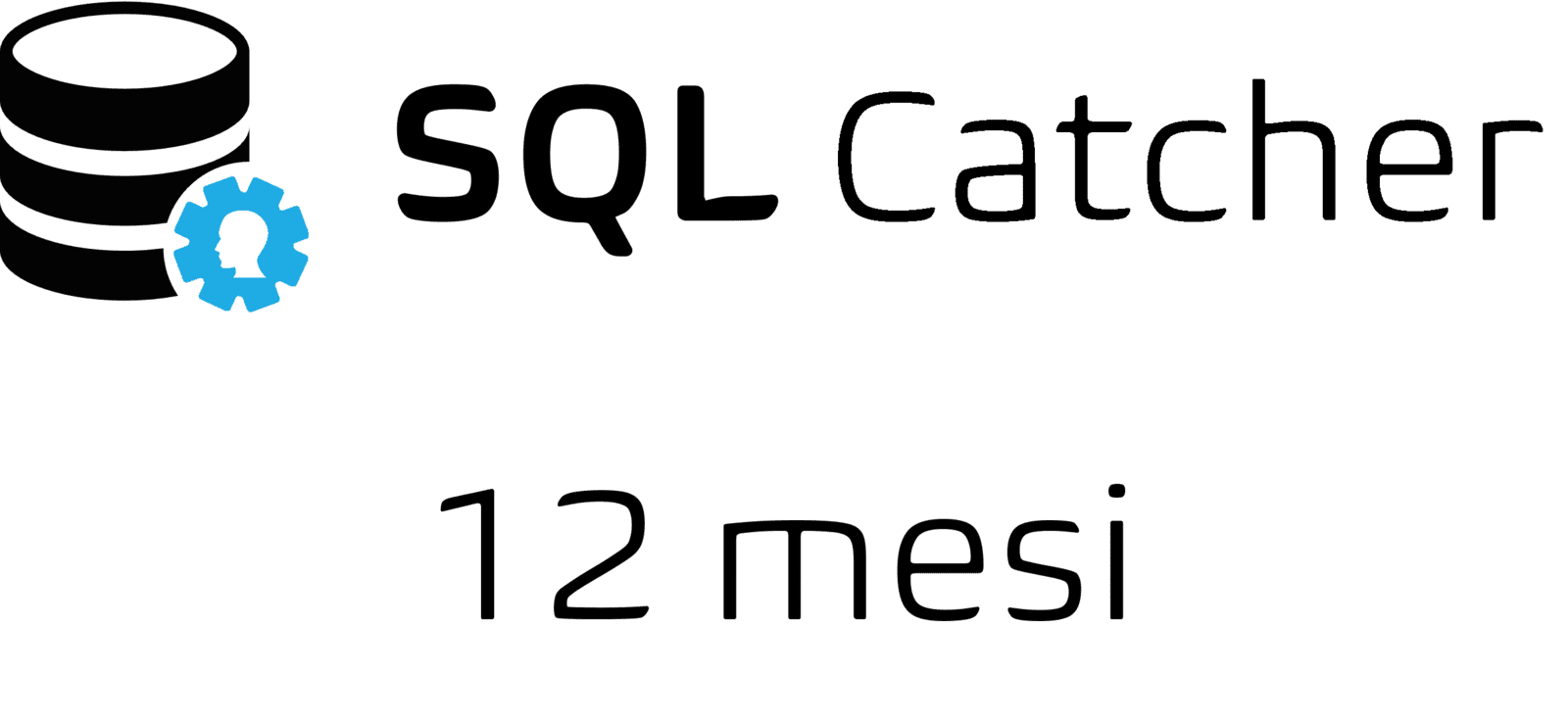 SQL Catcher 12 mesi